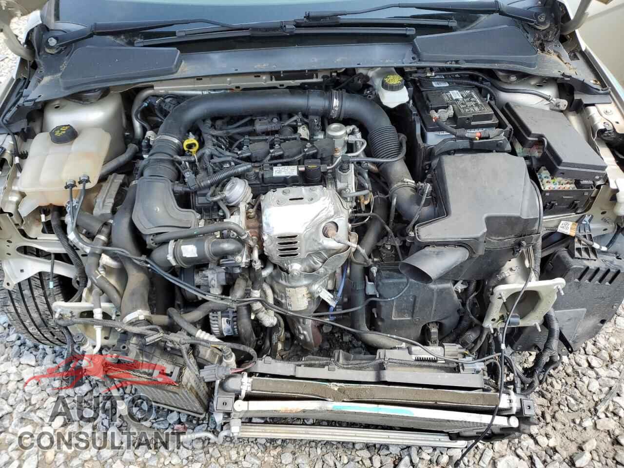 FORD FOCUS 2017 - 1FADP3FEXHL322405