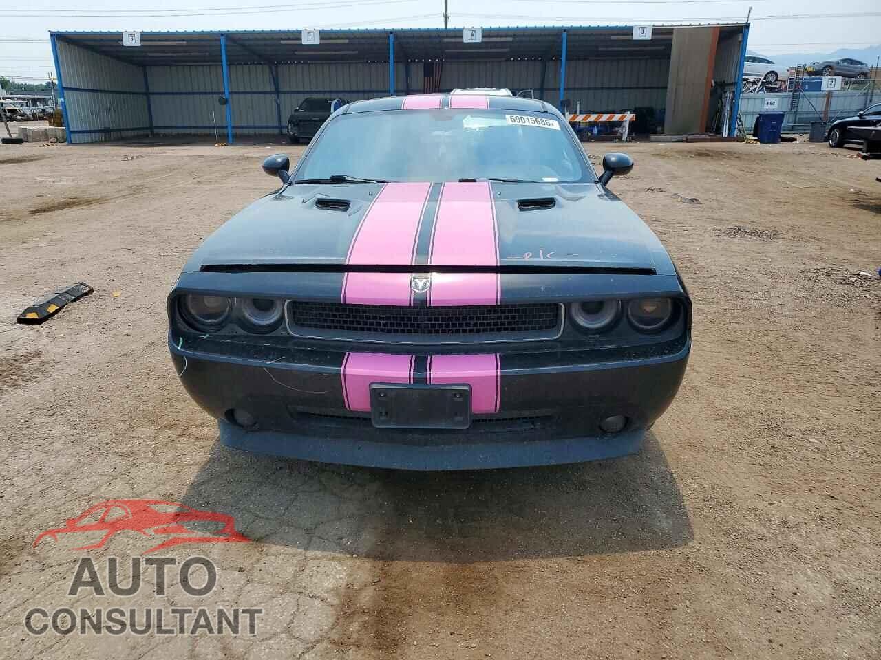 DODGE CHALLENGER 2010 - 2B3CJ4DVXAH240789