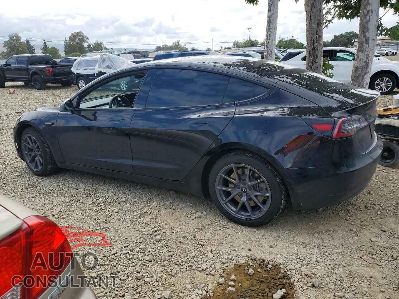 TESLA MODEL 3 2022 - 5YJ3E1EB2NF123645