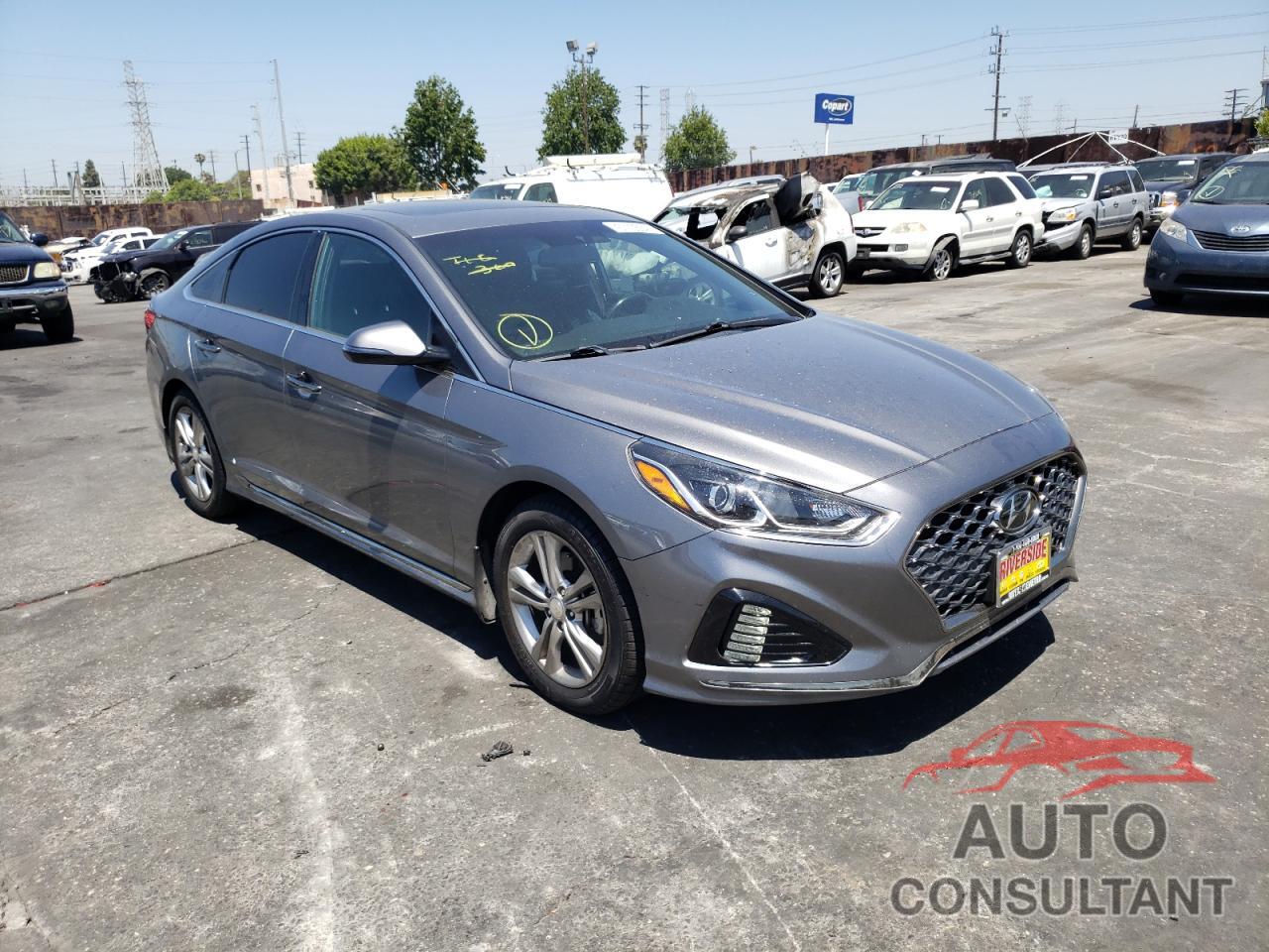 HYUNDAI SONATA 2019 - 5NPE34AF6KH750340