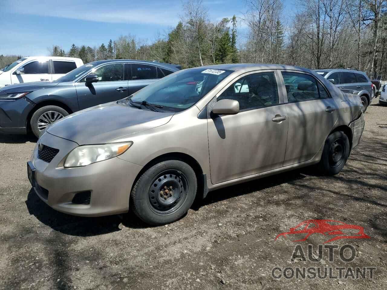 TOYOTA COROLLA 2010 - 2T1BU4EE2AC196930