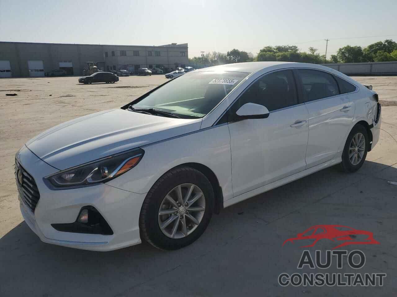HYUNDAI SONATA 2019 - 5NPE24AF7KH812962
