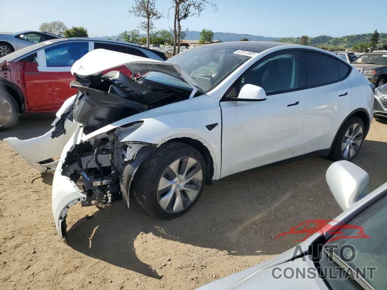 TESLA MODEL Y 2024 - 7SAYGDEE0RF081948