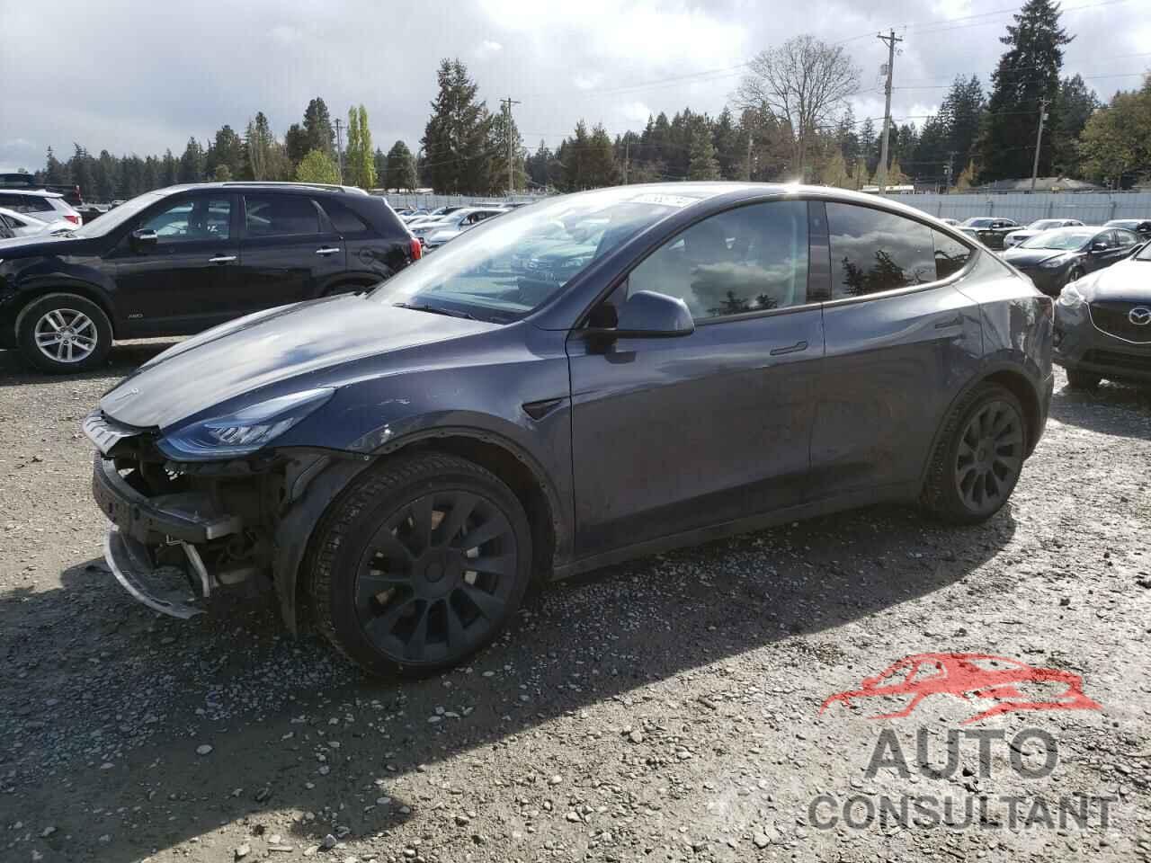 TESLA MODEL Y 2021 - 5YJYGDEE8MF158703