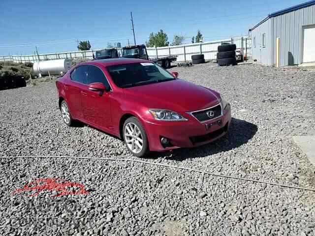 LEXUS IS 2012 - JTHCF5C20C5055043