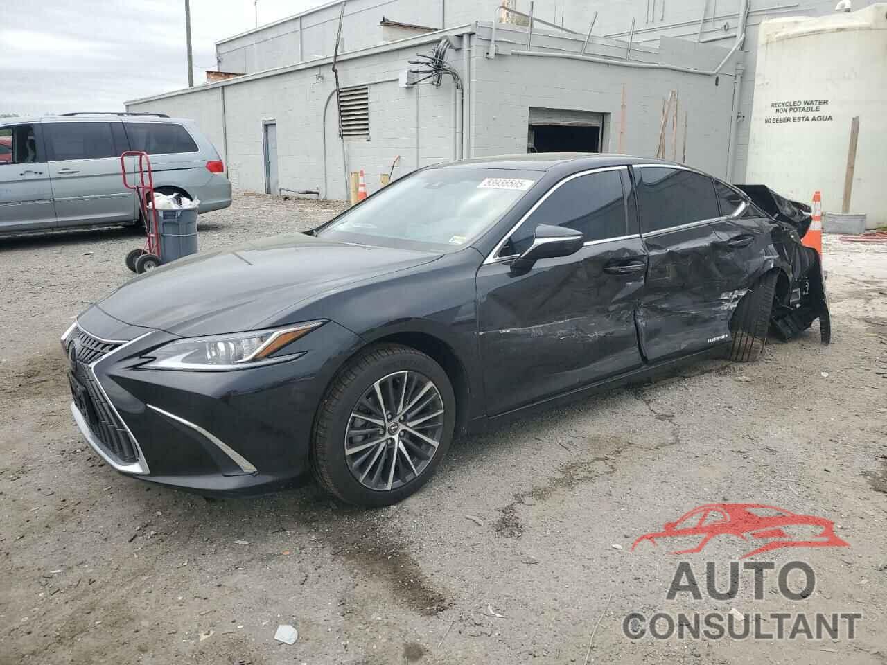 LEXUS ES300 2022 - 58ADA1C16NU026003