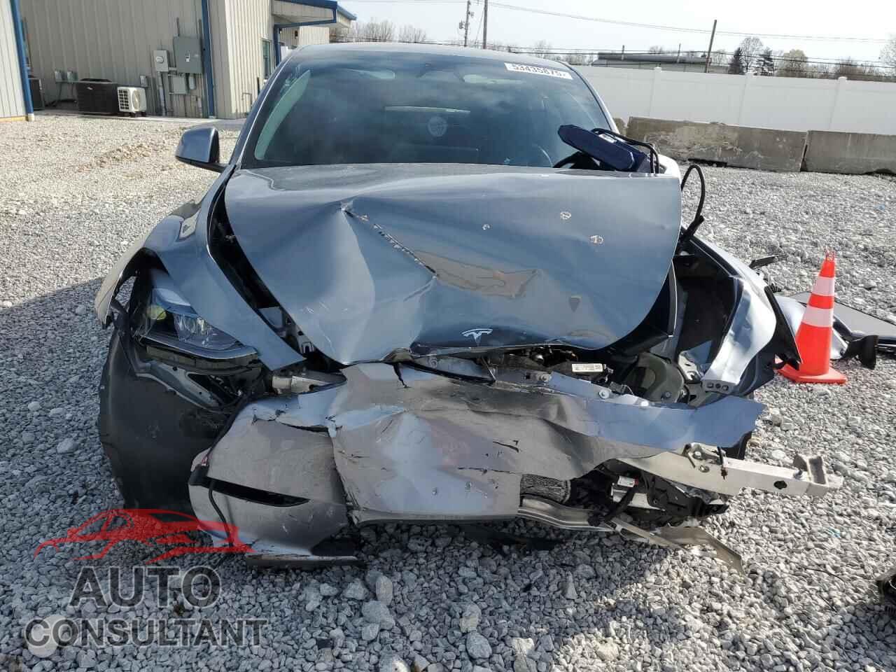 TESLA MODEL Y 2024 - 7SAYGDEE8RF201768