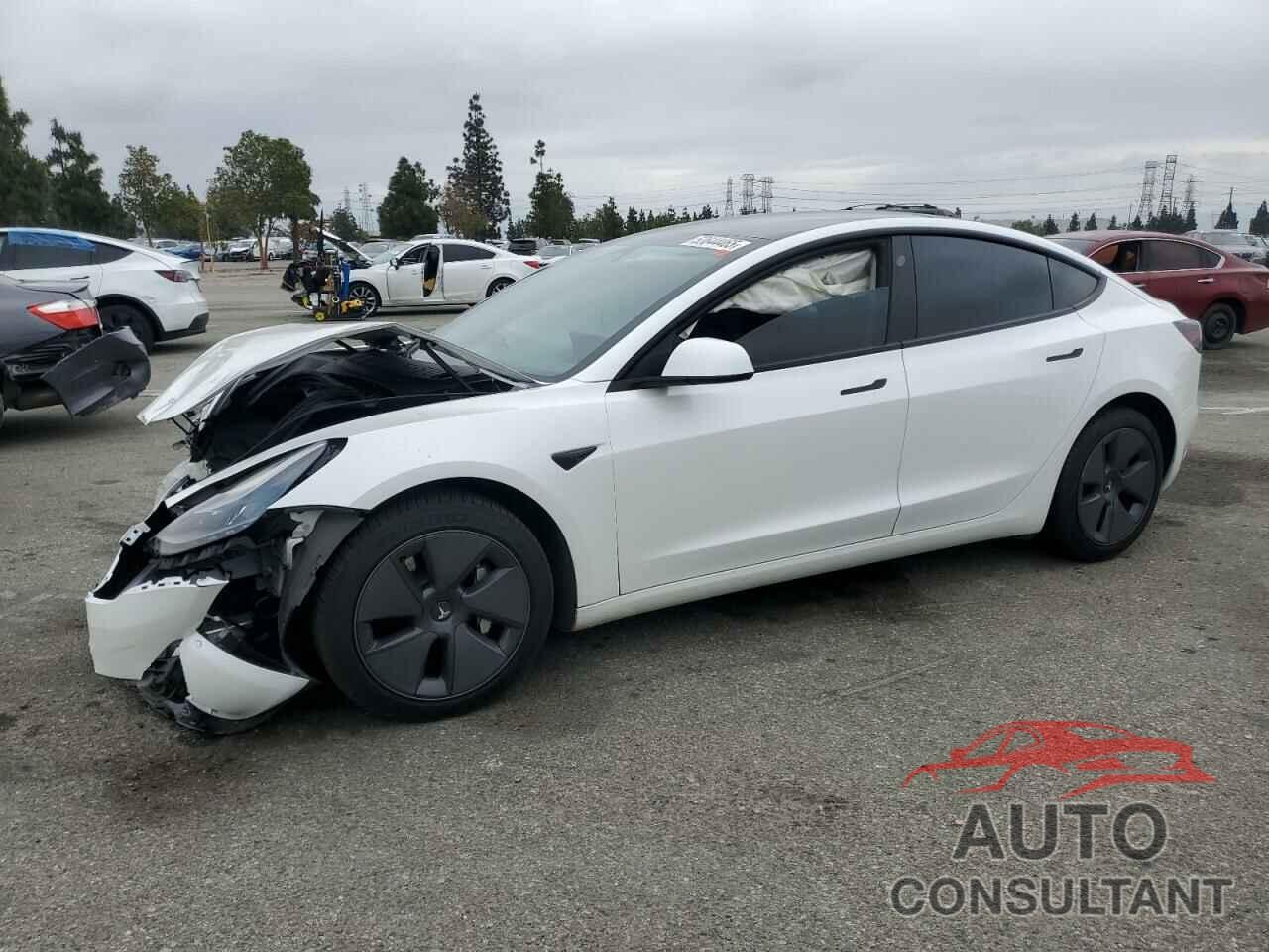 TESLA MODEL 3 2021 - 5YJ3E1EB1MF032669