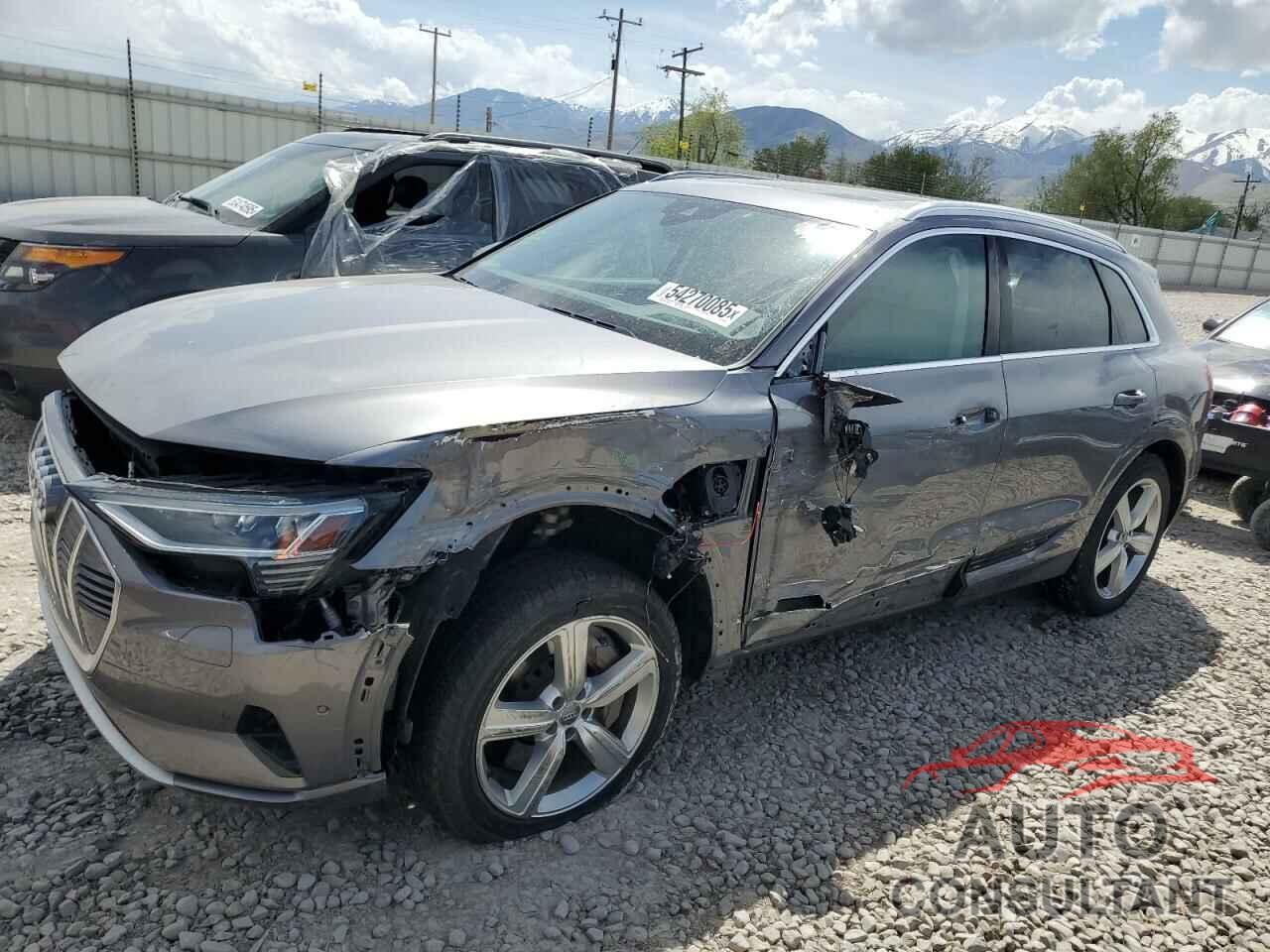 AUDI E-TRON 2019 - WA1LABGE1KB011825