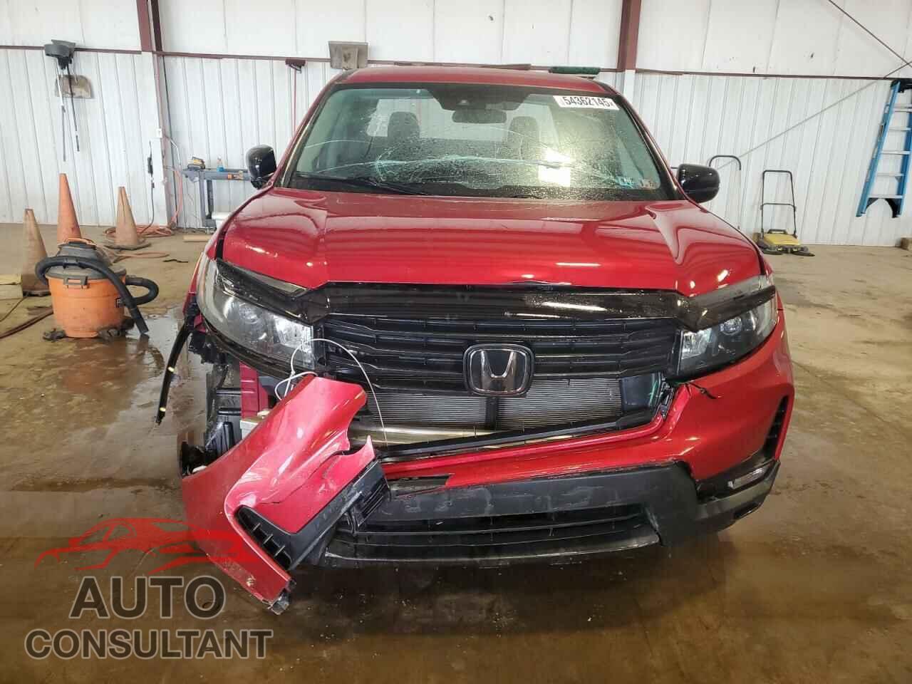 HONDA RIDGELINE 2021 - 5FPYK3F19MB024245