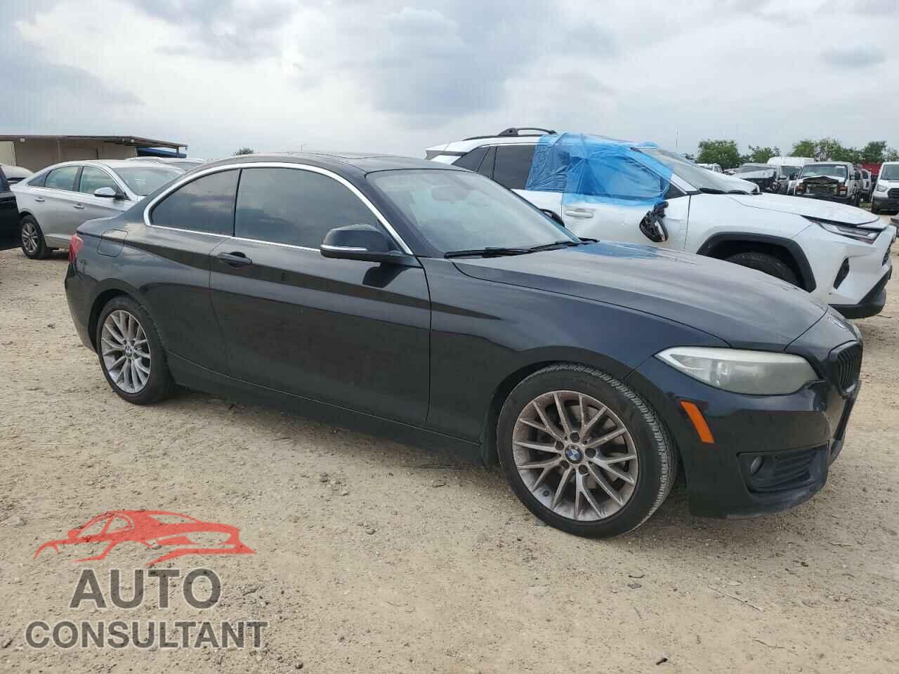 BMW 2 SERIES 2014 - WBA1F5C58EV255817