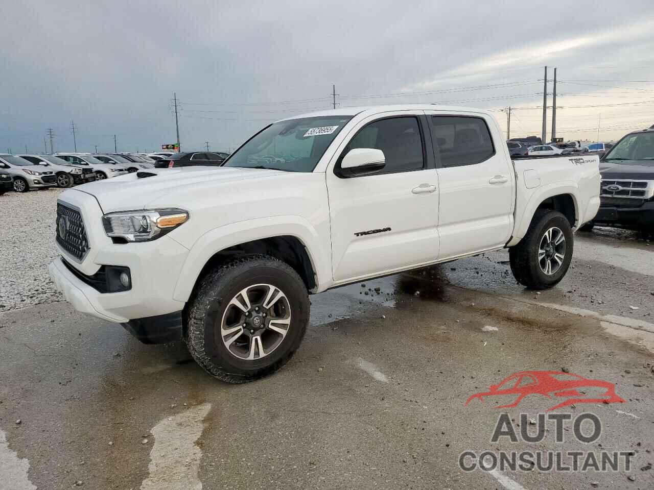 TOYOTA TACOMA 2019 - 3TMAZ5CN0KM095352