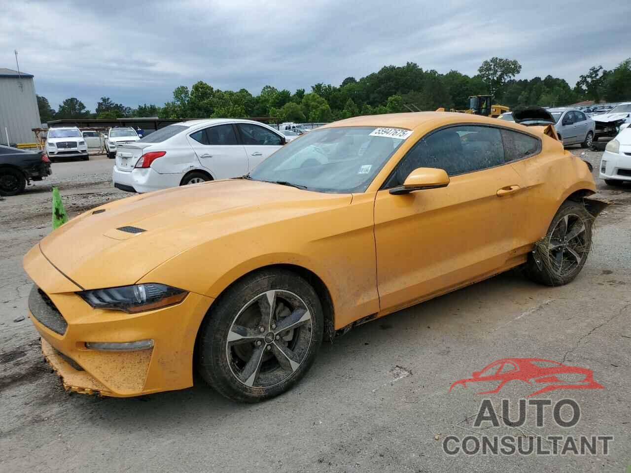FORD ALL Models 2022 - 1FA6P8TH6N5146134
