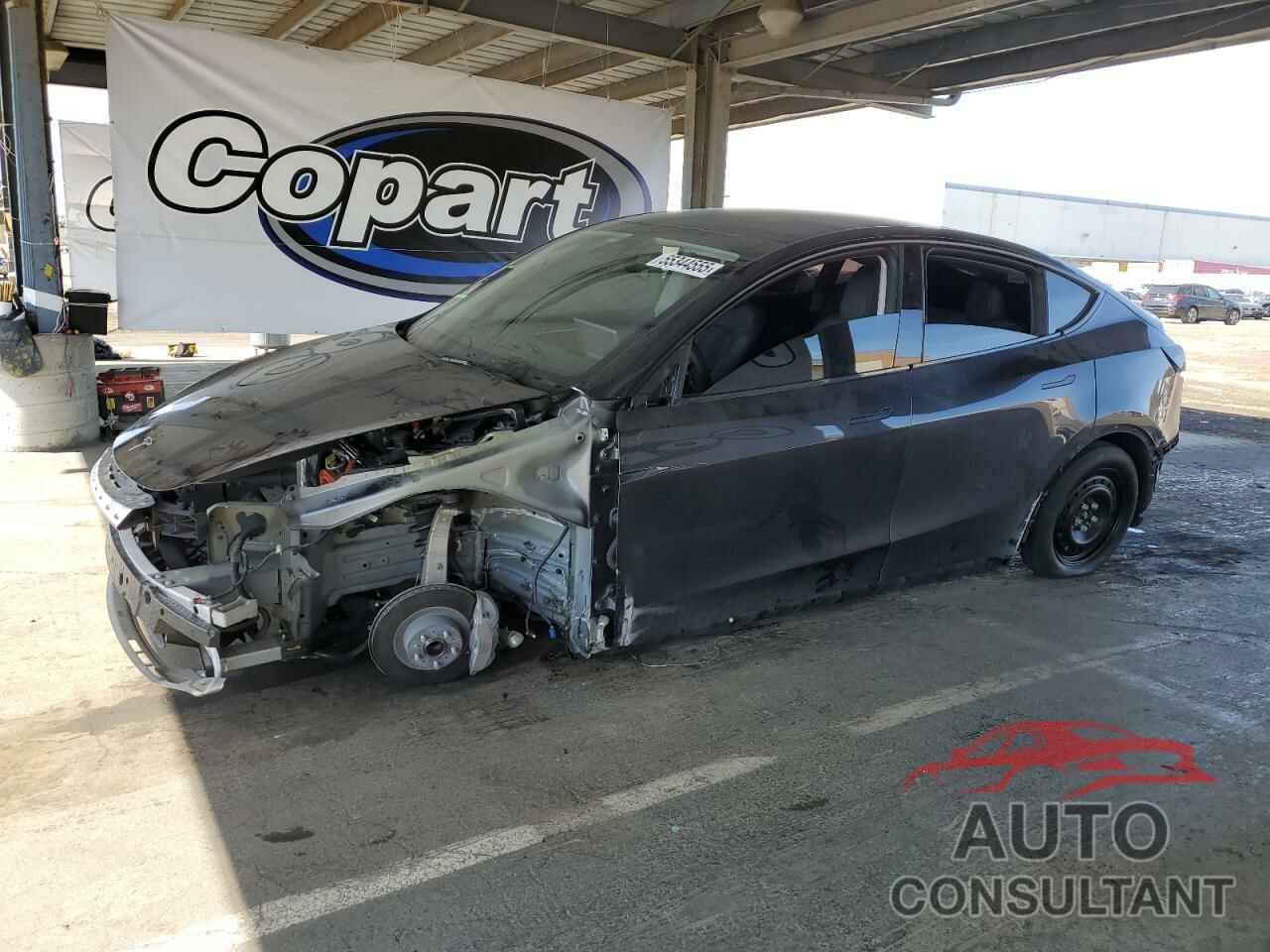 TESLA MODEL Y 2025 - 7SAYGDED9SF229124