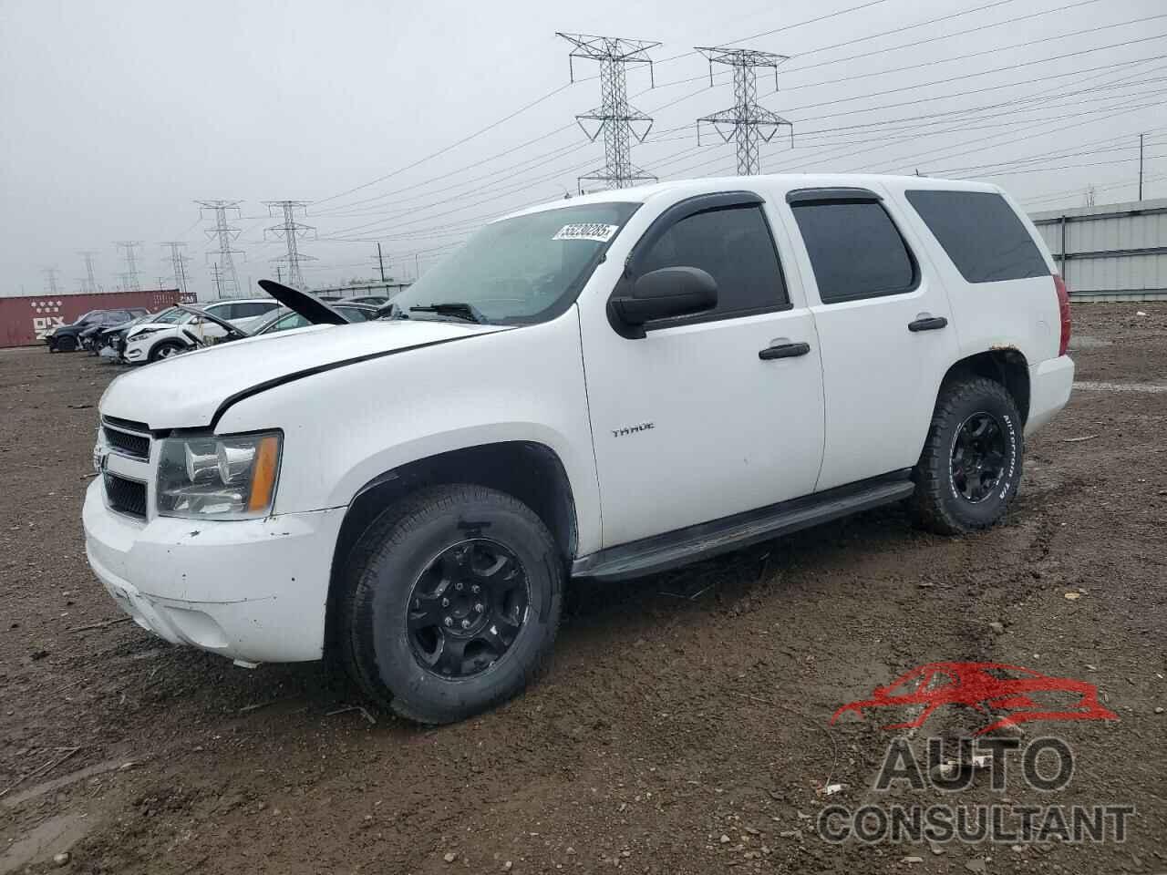 CHEVROLET TAHOE 2009 - 1GNEC03059R190970