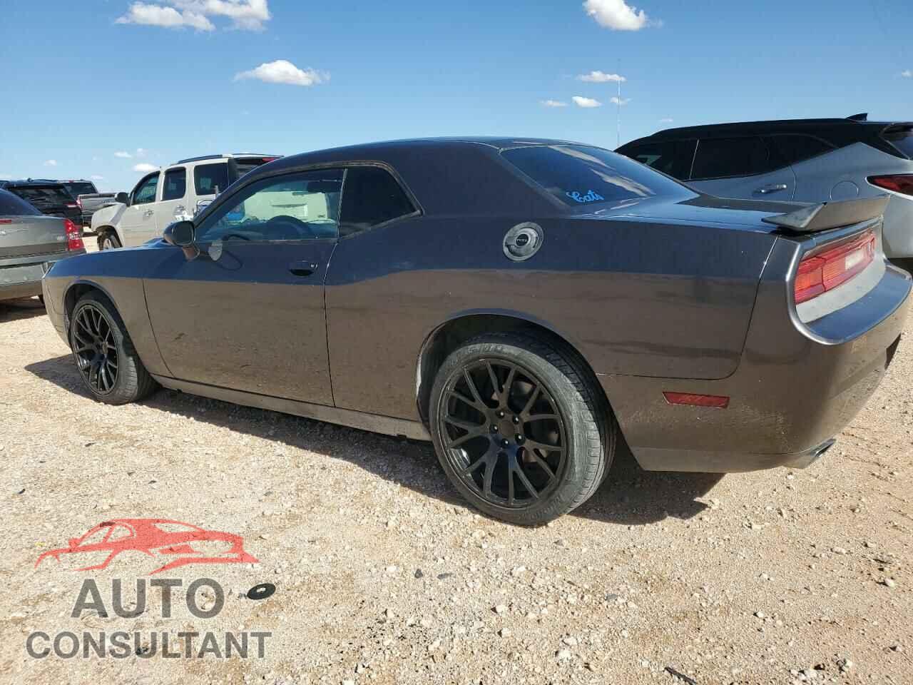 DODGE CHALLENGER 2013 - 2C3CDYAG4DH704252