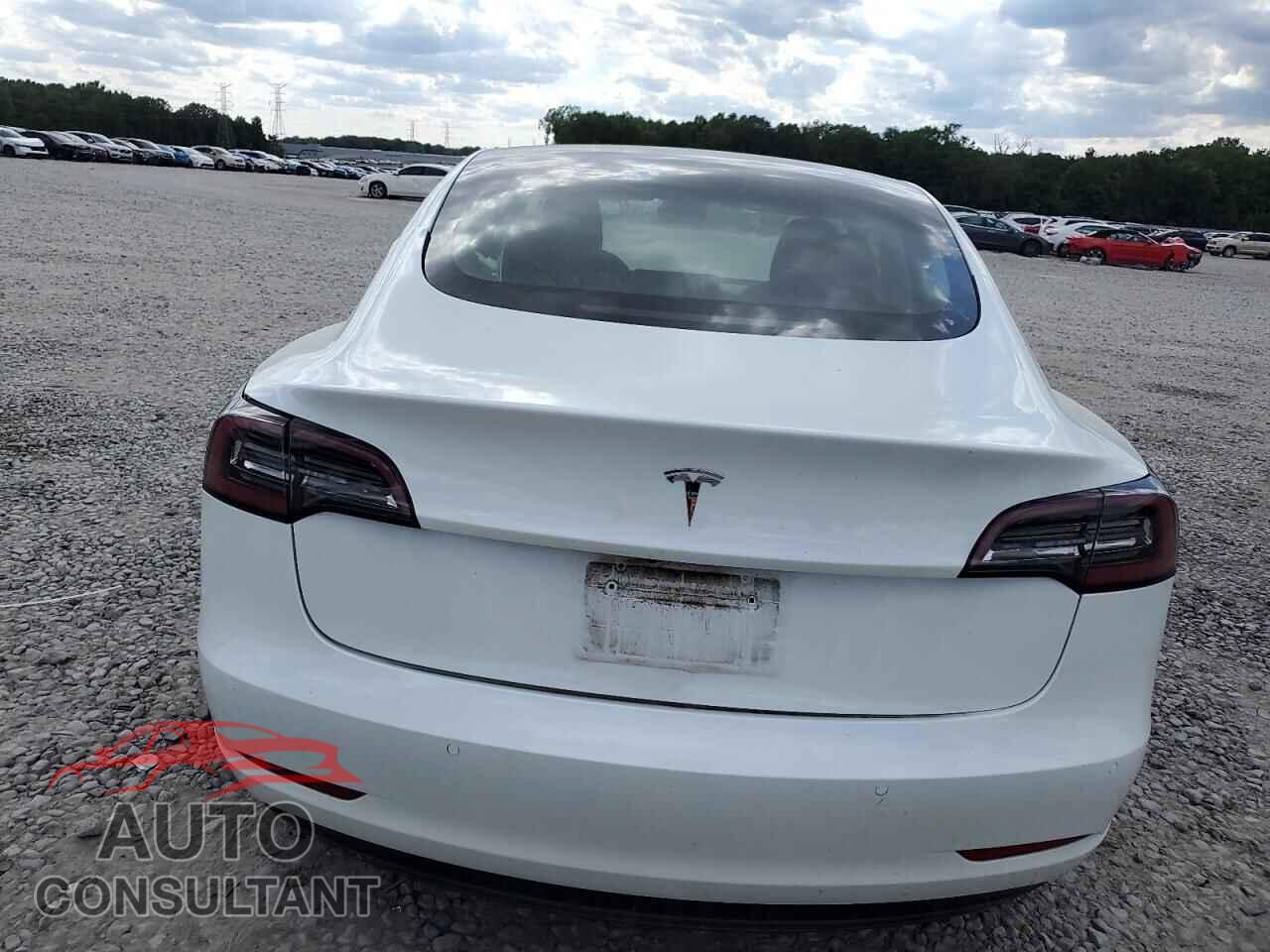 TESLA MODEL 3 2021 - 5YJ3E1EA7MF982204