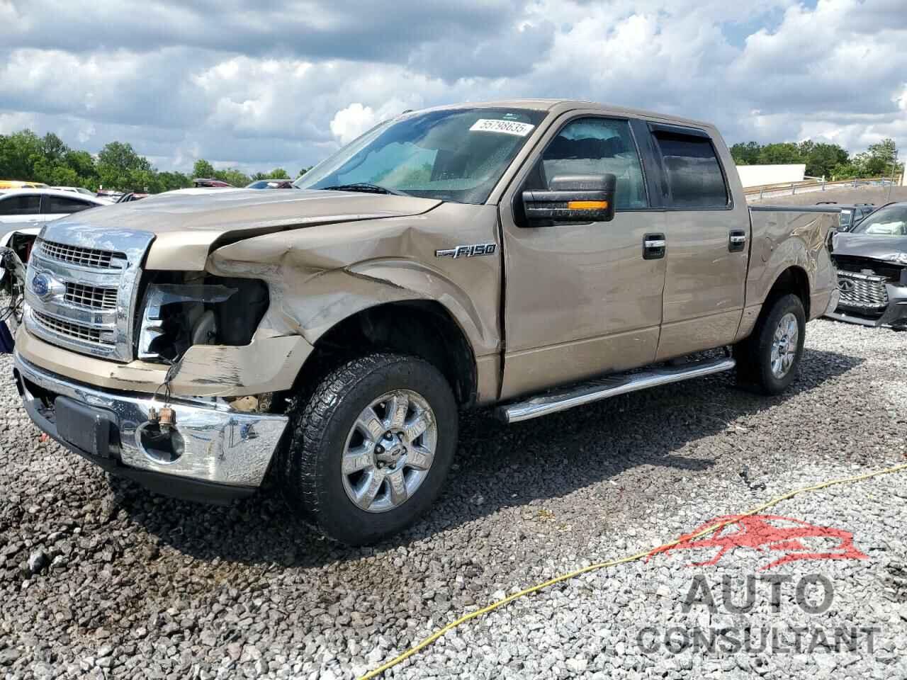 FORD F-150 2013 - 1FTEW1CM7DKG38281