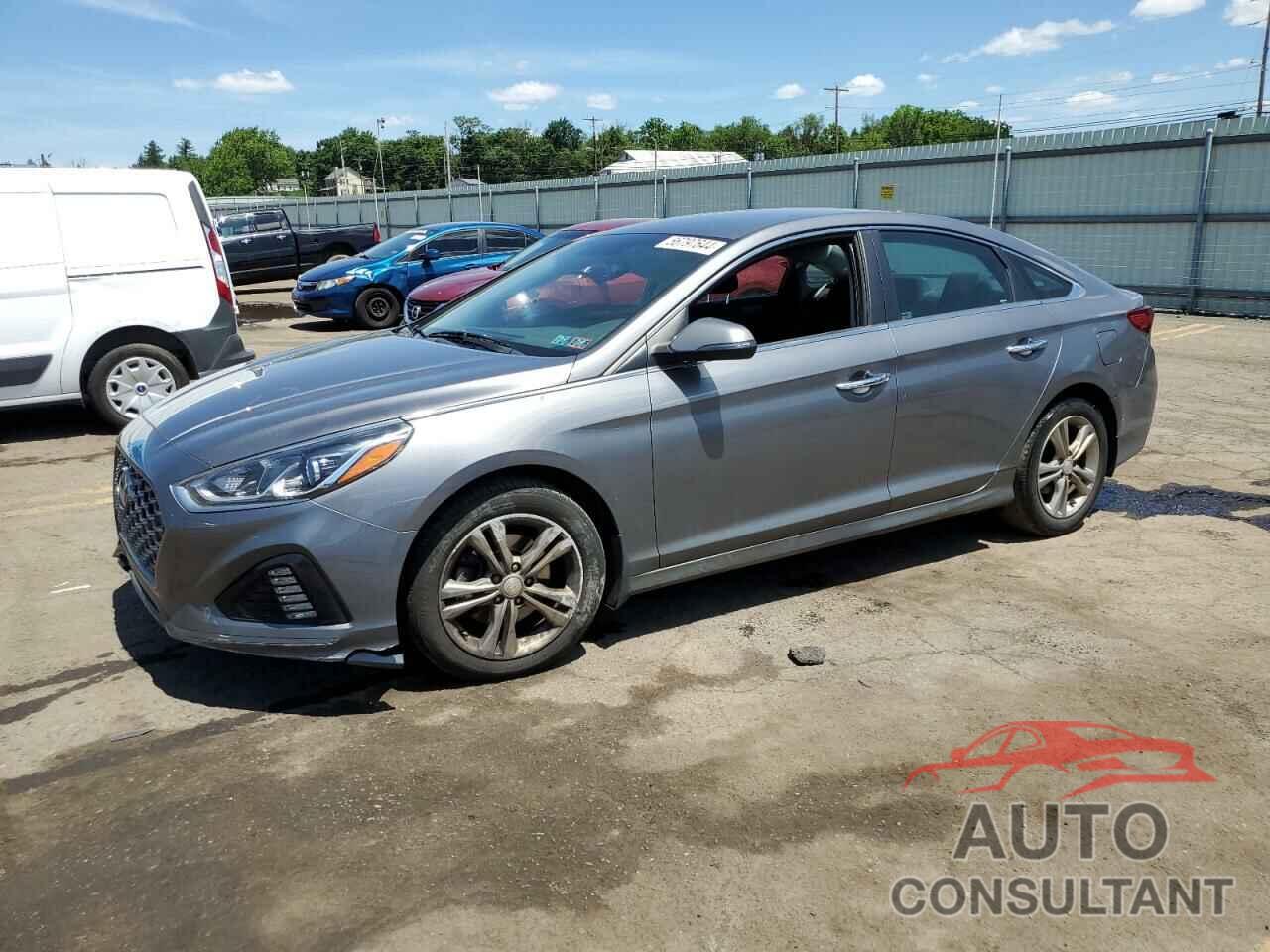 HYUNDAI SONATA 2019 - 5NPE34AF9KH813642