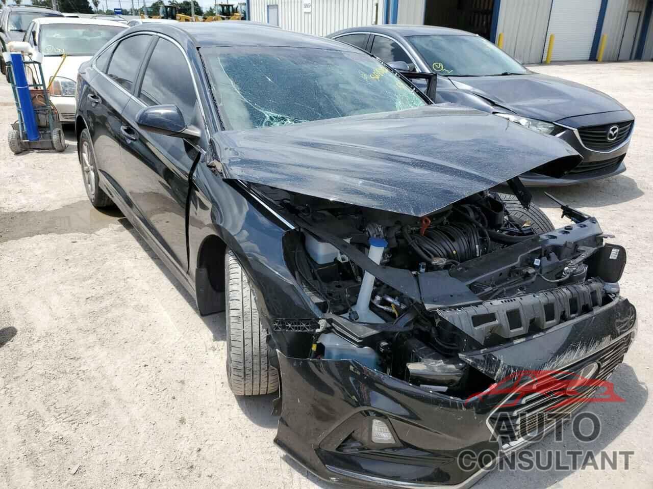 HYUNDAI SONATA 2019 - 5NPE24AF6KH735310