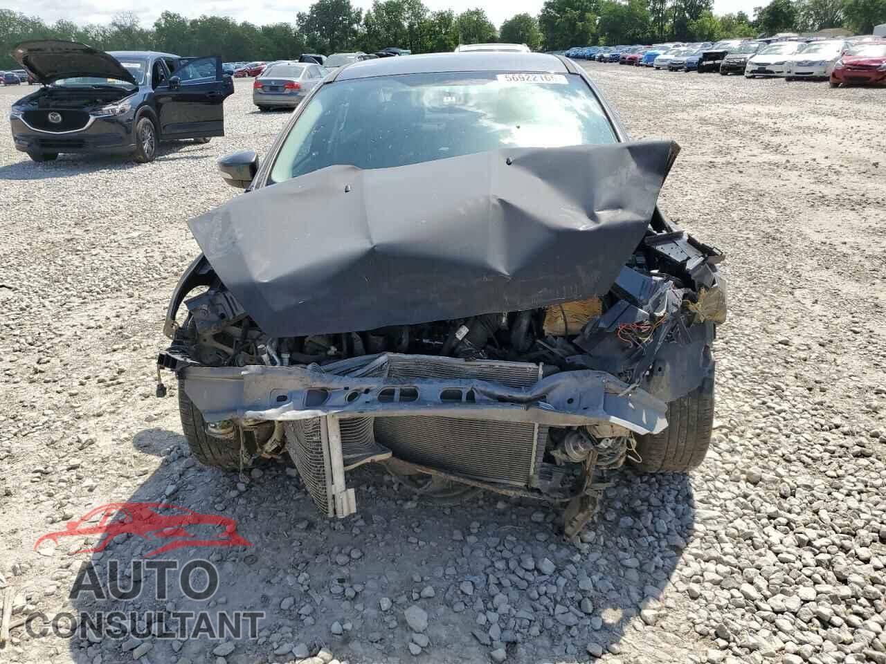 FORD FOCUS 2016 - 1FADP3F29GL220145