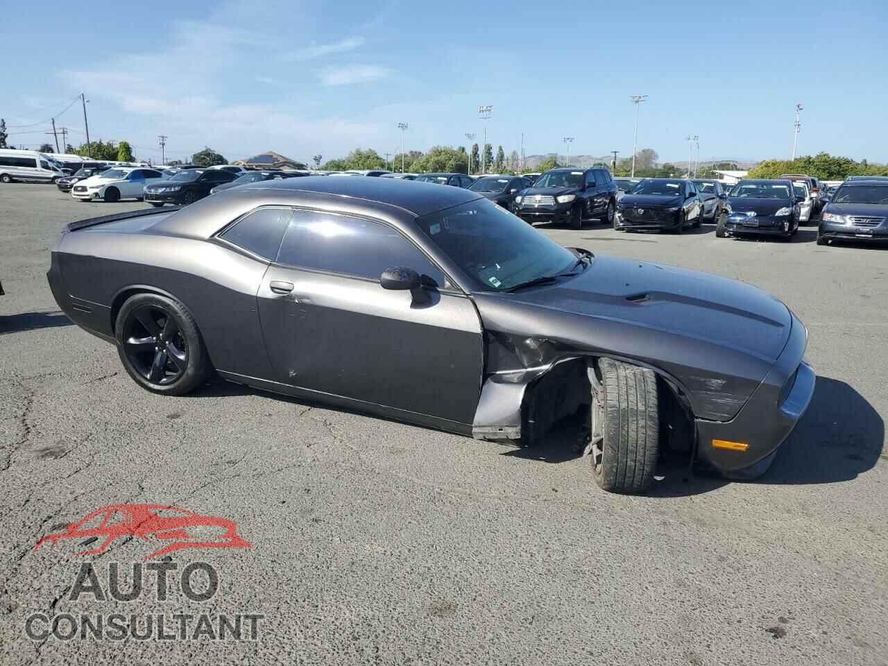 DODGE CHALLENGER 2013 - 2C3CDYAG3DH620035
