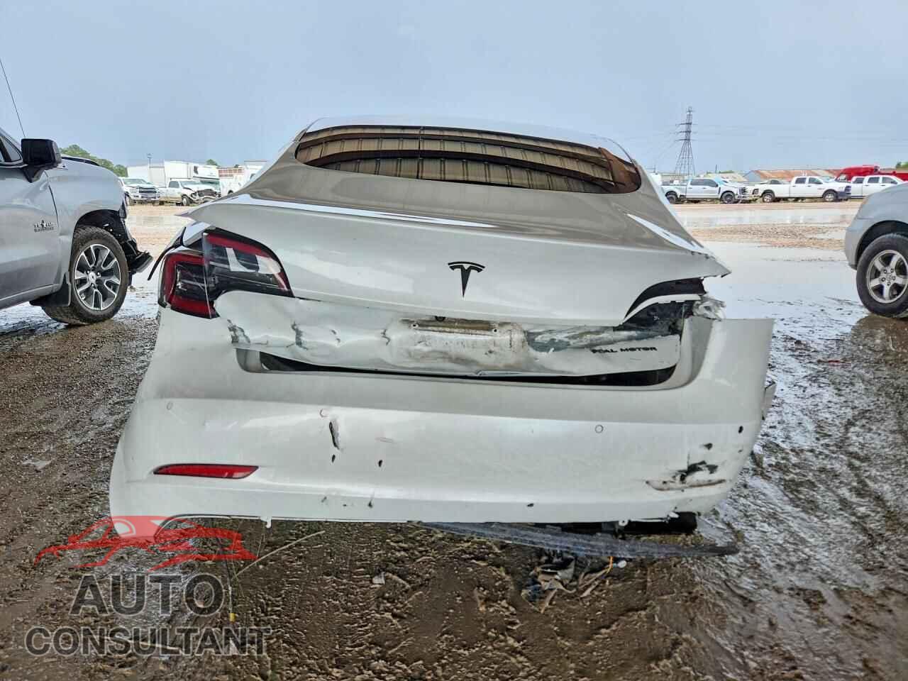 TESLA MODEL 3 2019 - 5YJ3E1EB3KF469585