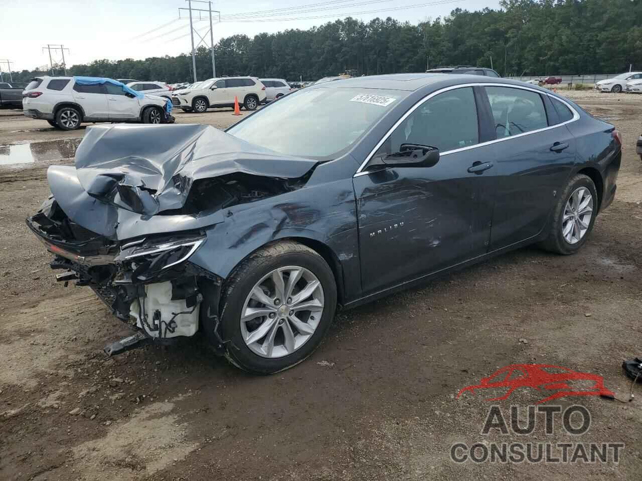 CHEVROLET MALIBU 2019 - 1G1ZD5ST9KF139021