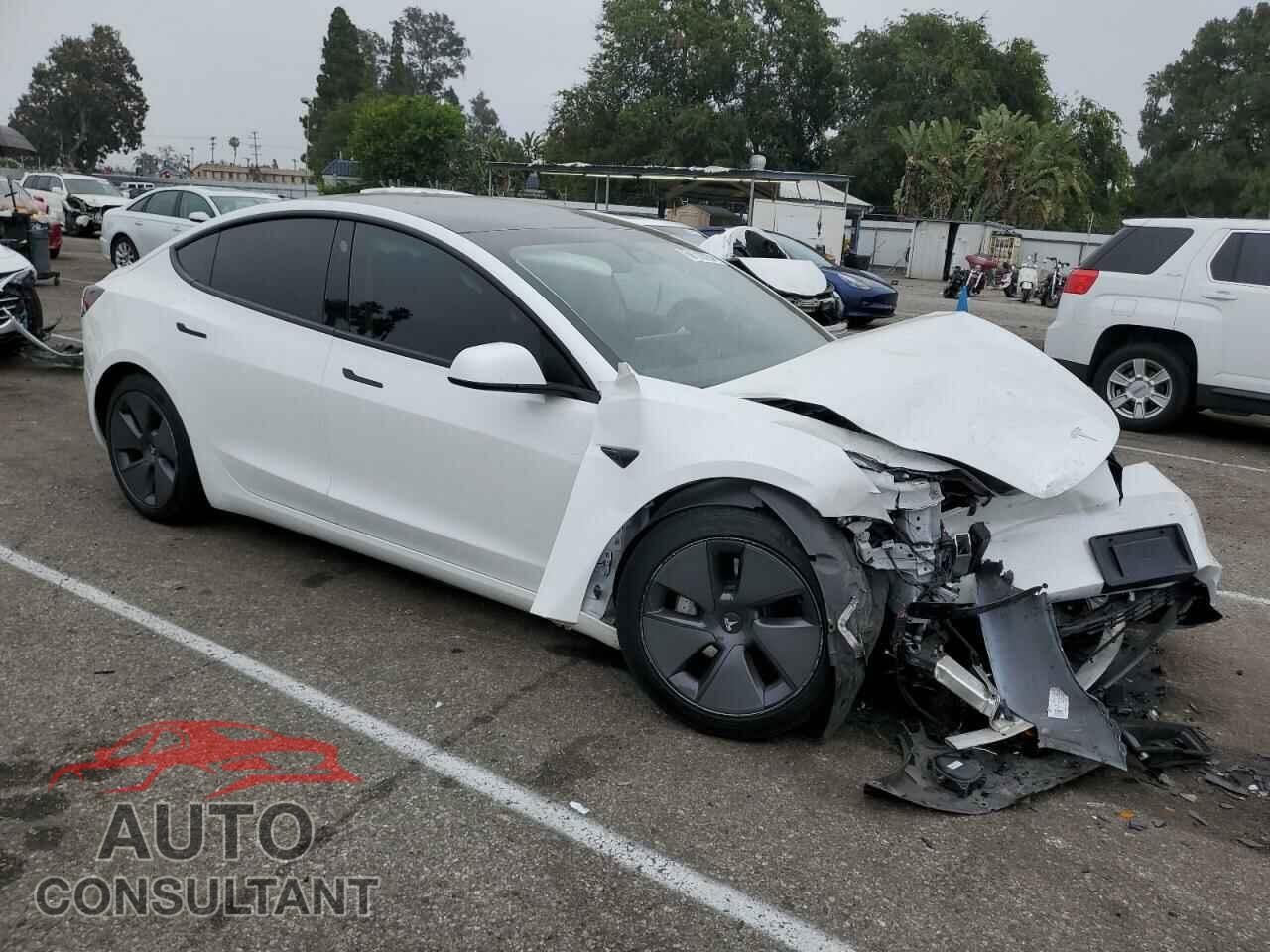 TESLA MODEL 3 2021 - 5YJ3E1EA4MF027084