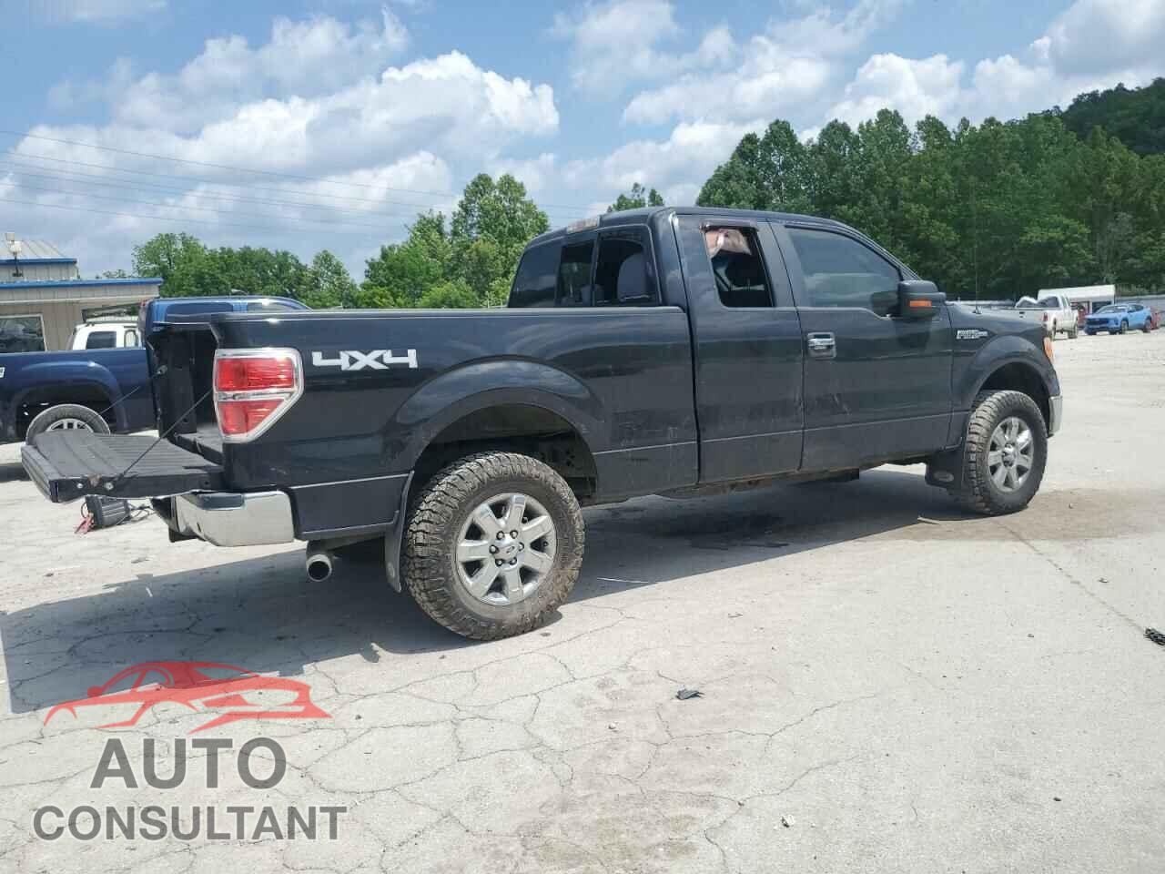 FORD F-150 2013 - 1FTFX1EF1DFA59005