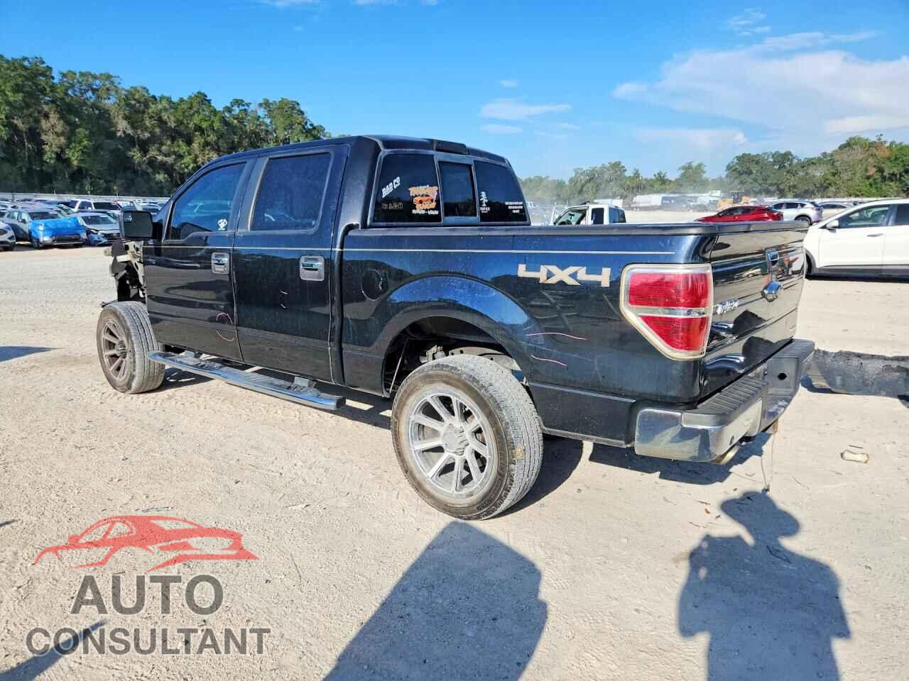 FORD F150 2013 - 1FTFW1EF9DFD38186