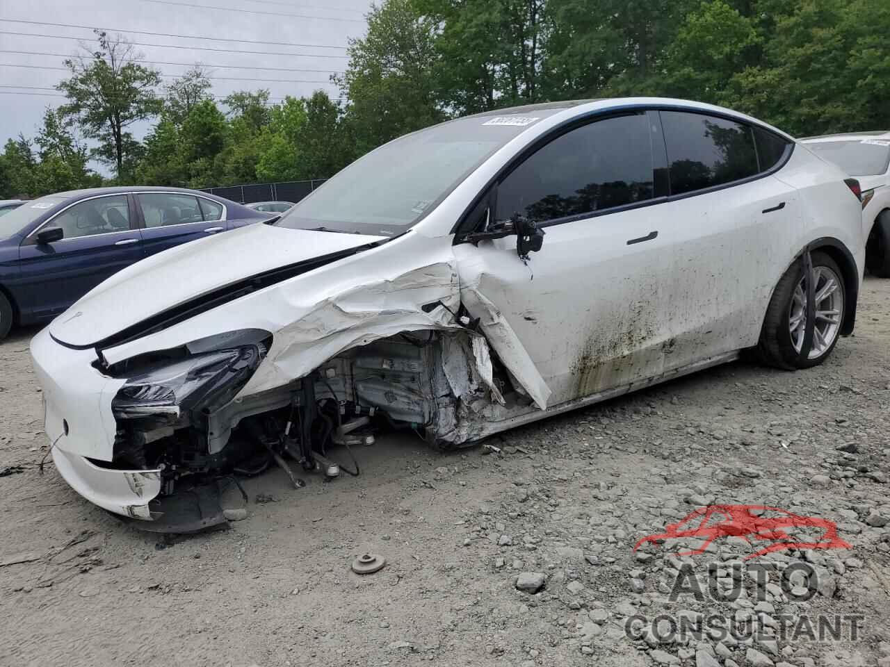 TESLA MODEL Y 2021 - 5YJYGDEE4MF243229