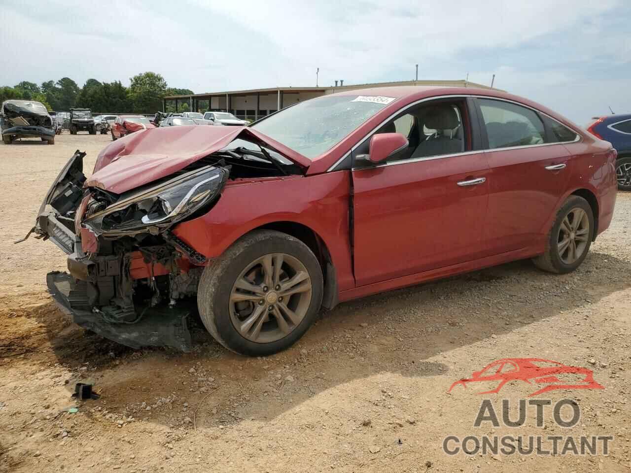 HYUNDAI SONATA 2019 - 5NPE34AF8KH800025