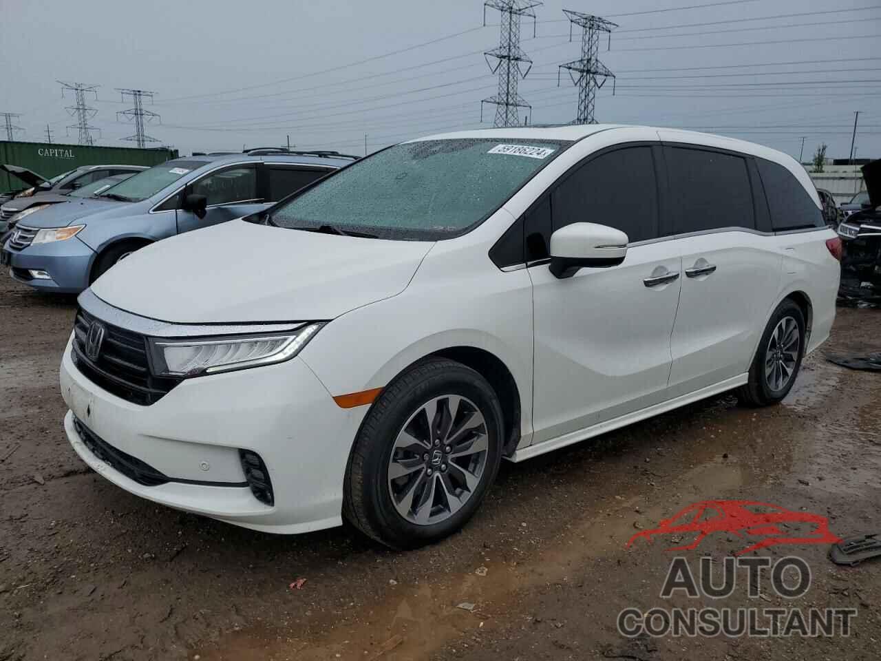 HONDA ODYSSEY 2022 - 5FNRL6H81NB018625