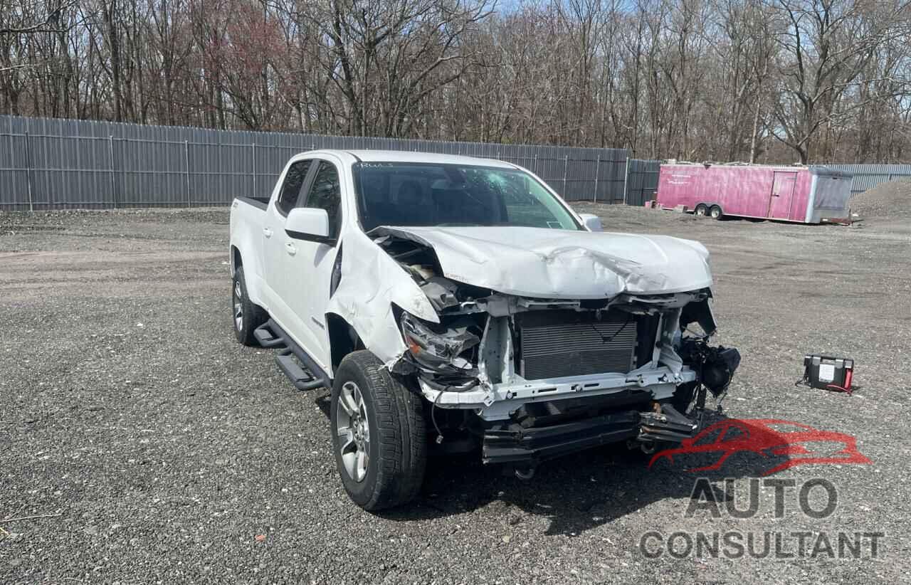 CHEVROLET COLORADO 2019 - 1GCGTDEN1K1174951