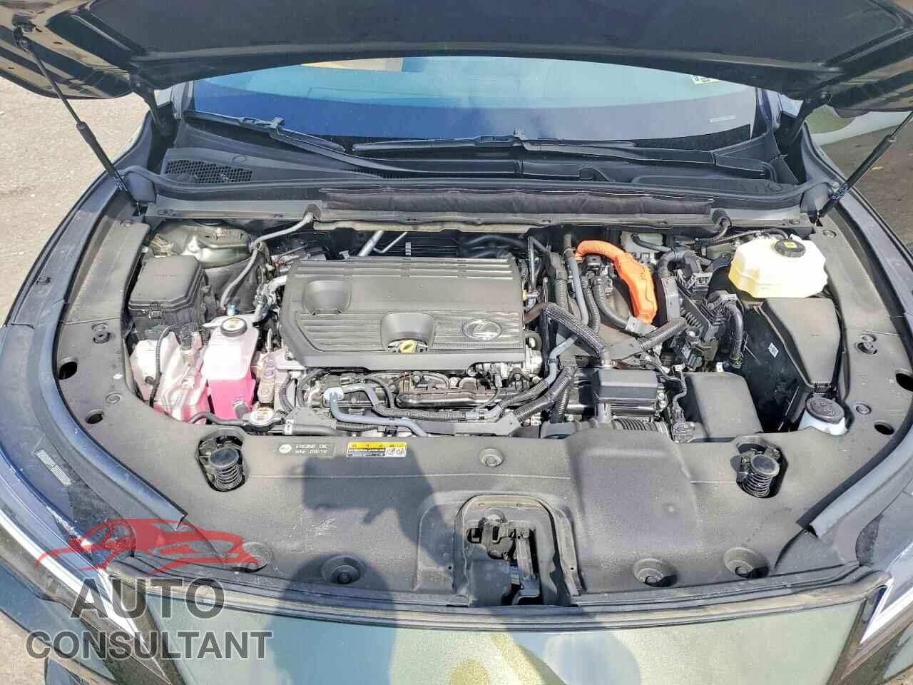 LEXUS UNKNOWN 2025 - 2T2BBMCA0SC102272