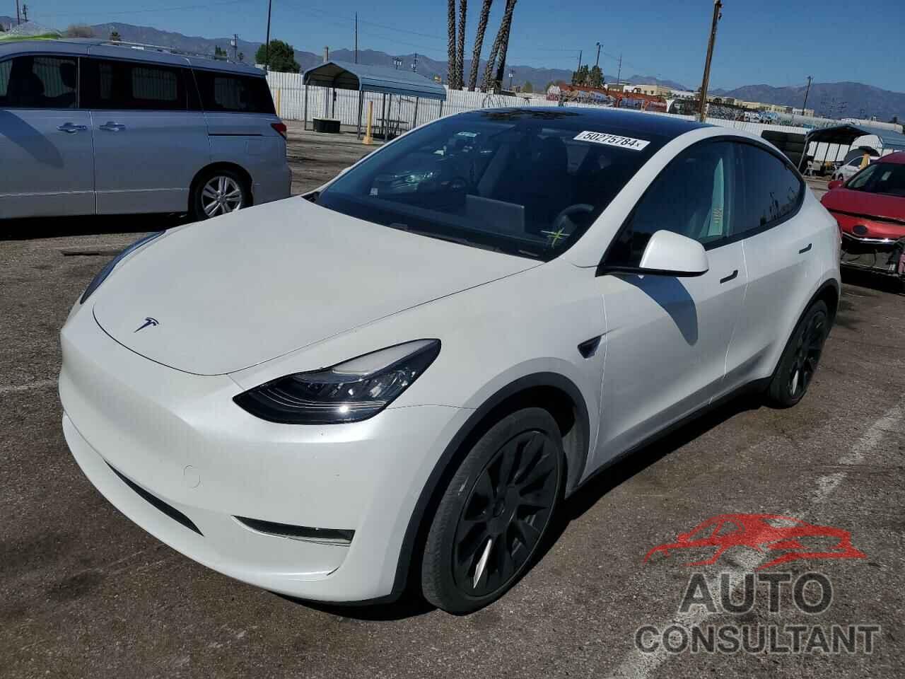 TESLA MODEL Y 2020 - 5YJYGDEE3LF029718