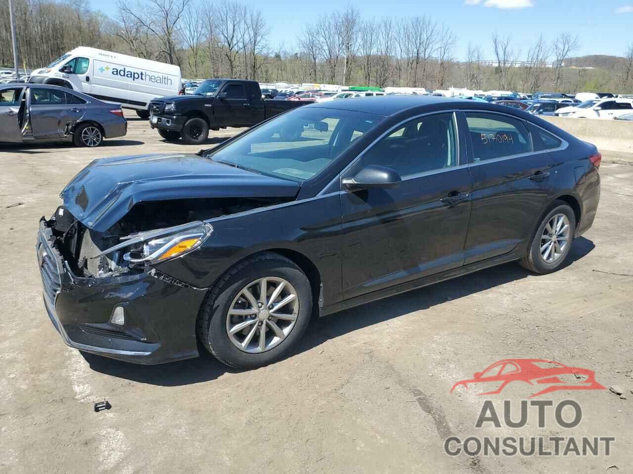 HYUNDAI SONATA 2019 - 5NPE24AF2KH771169