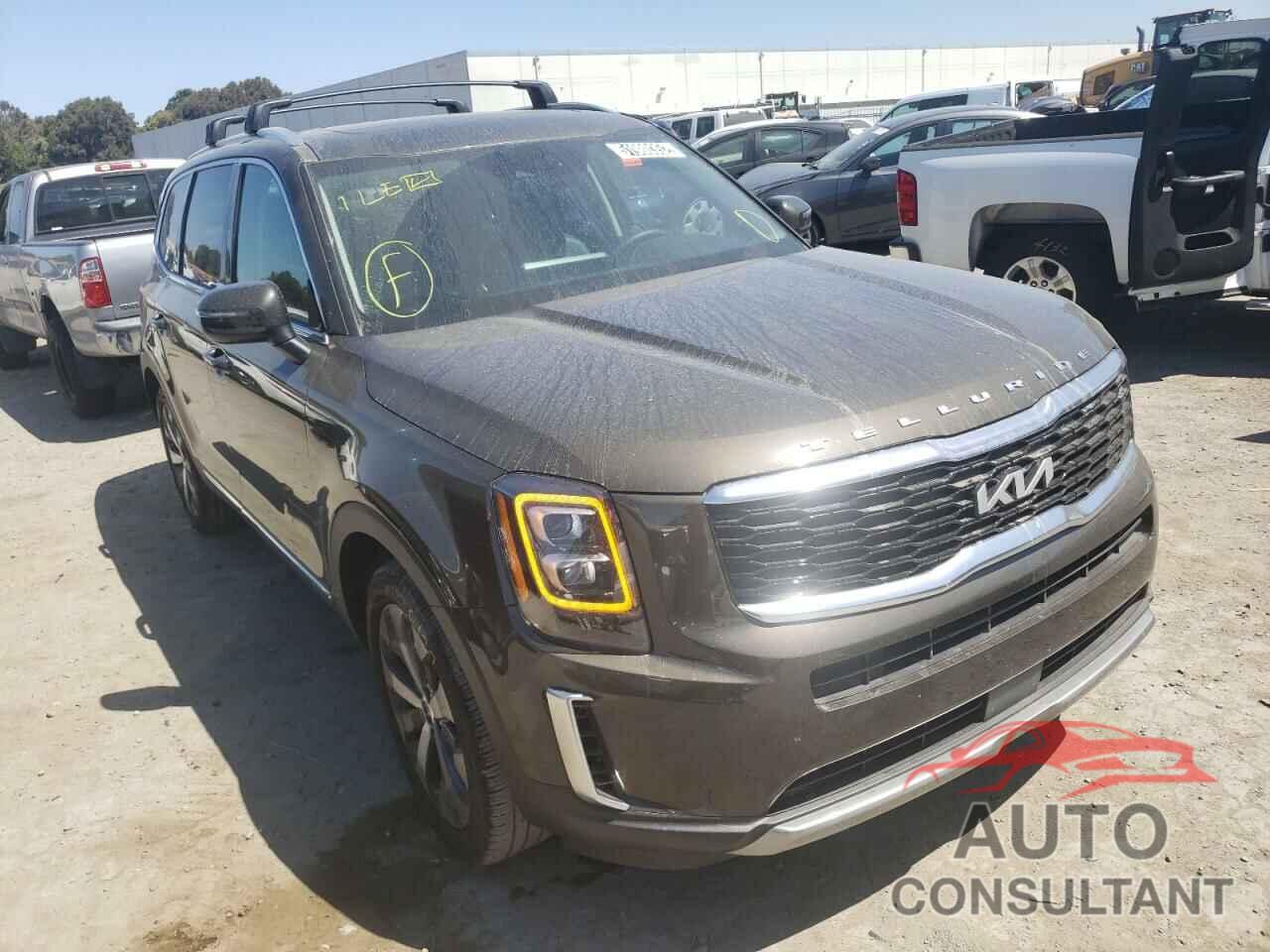 KIA TELLURIDE 2022 - 5XYP34HC3NG195654