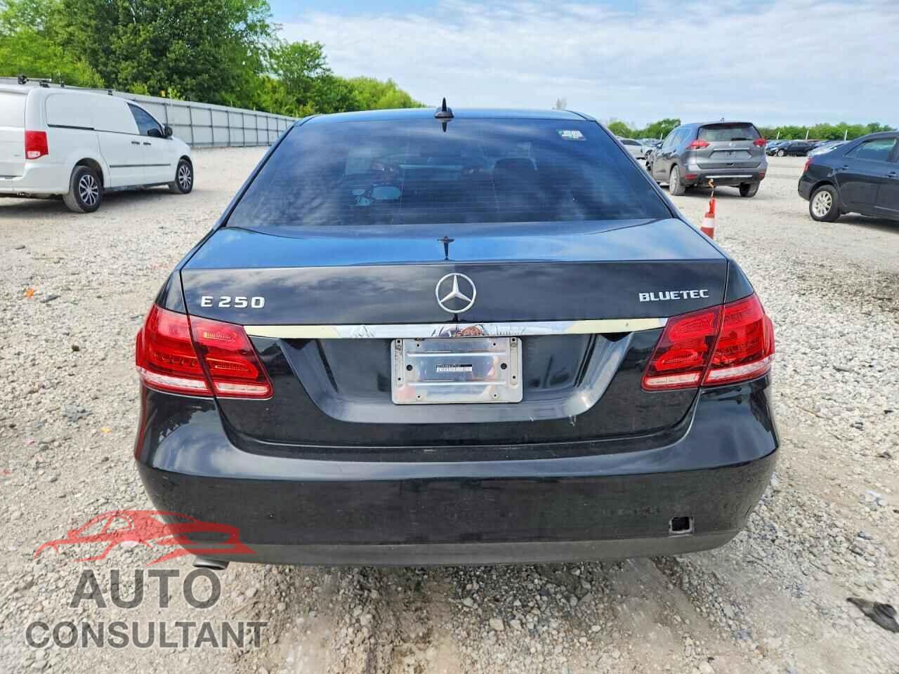 MERCEDES-BENZ E-CLASS 2014 - WDDHF0EBXEA876285
