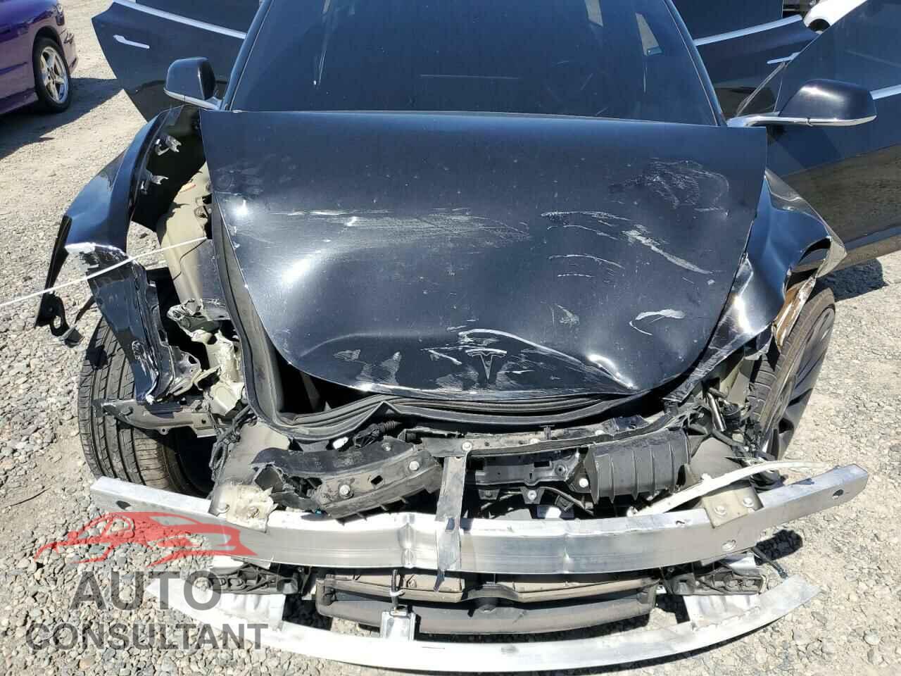 TESLA MODEL 3 2019 - 5YJ3E1EA8KF305904