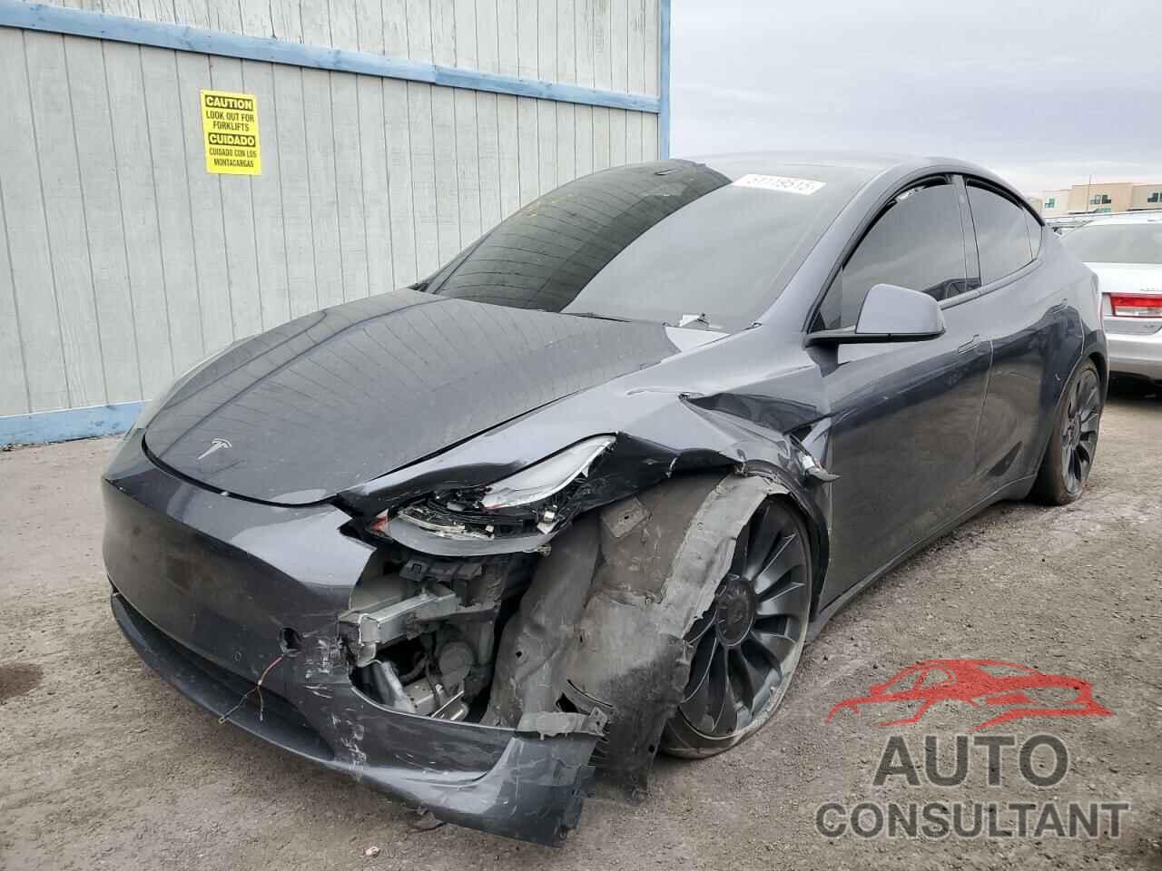 TESLA MODEL Y 2022 - 7SAYGDEF1NF491967