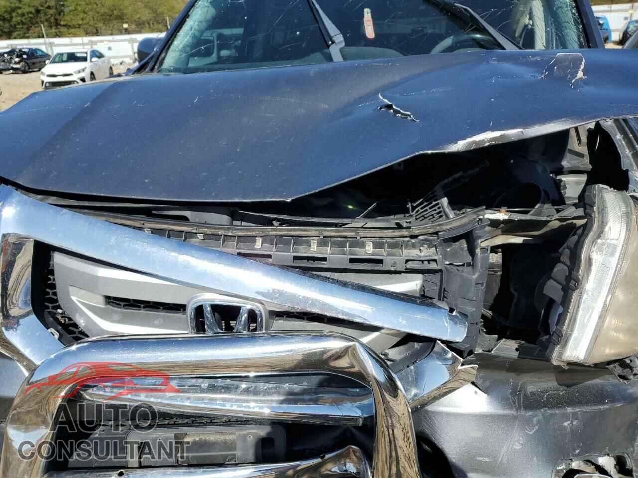 HONDA PILOT 2009 - 5FNYF48829B011616