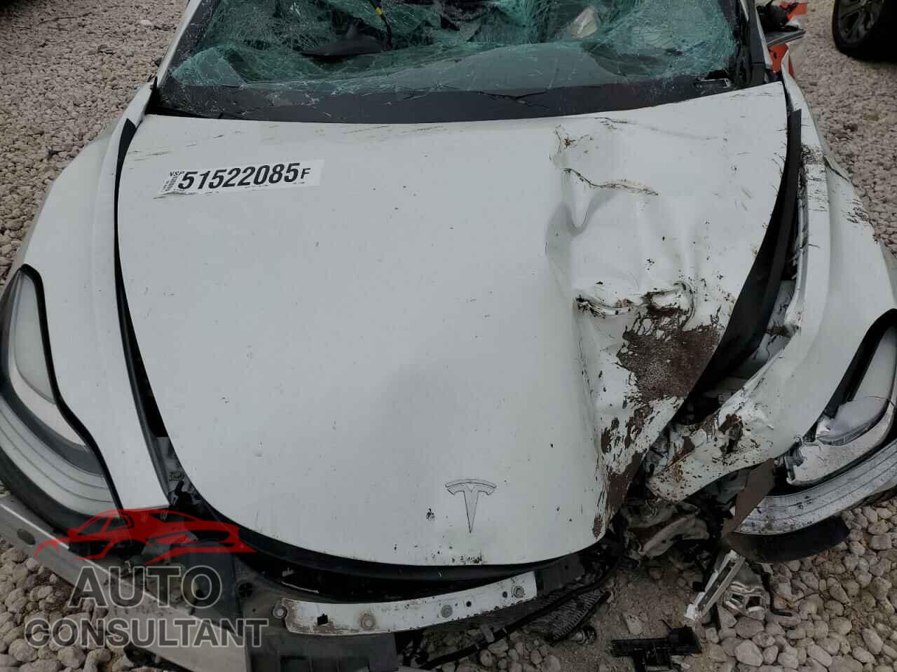 TESLA MODEL 3 2019 - 5YJ3E1EB2KF513401