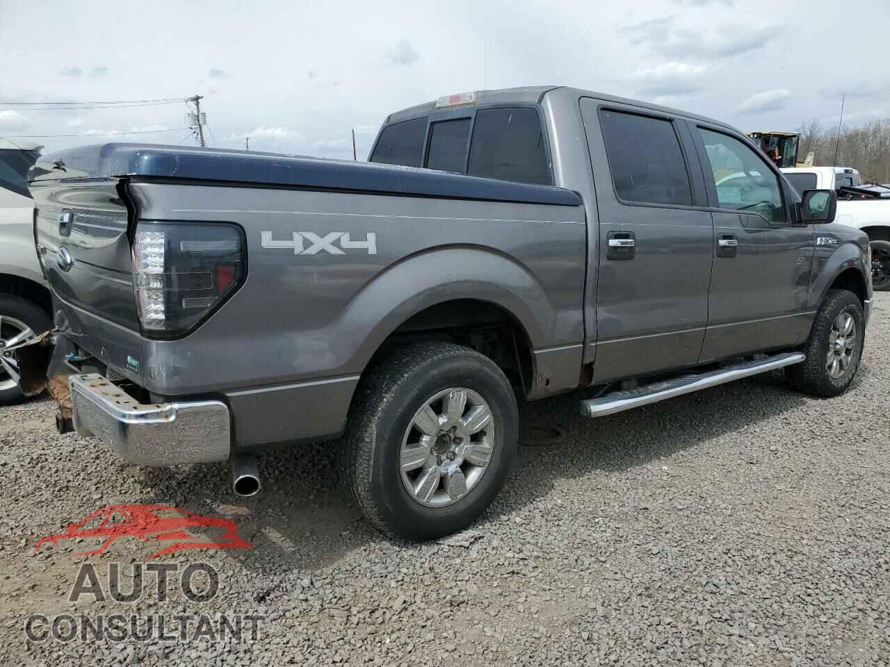 FORD F-150 2010 - 1FTFW1EV3AFD37618