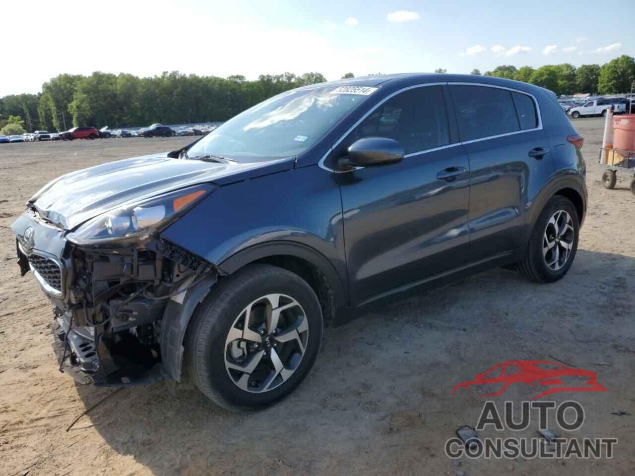 KIA SPORTAGE 2022 - KNDPM3AC3N7981291