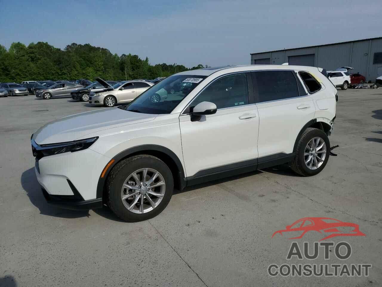 HONDA CRV 2024 - 2HKRS4H44RH457734