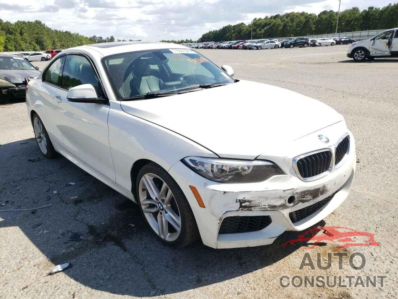 BMW 2 SERIES 2016 - WBA1F9C53GV545618