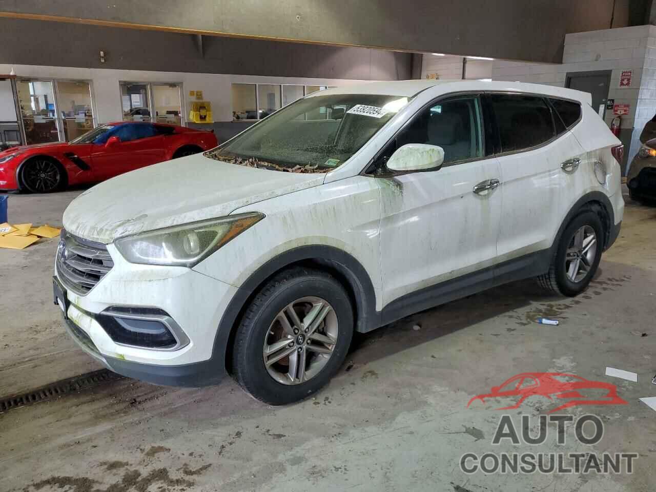 HYUNDAI SANTA FE 2017 - 5NMZTDLB0HH004015