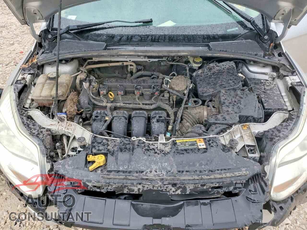 FORD FOCUS 2013 - 1FADP3F21DL220376